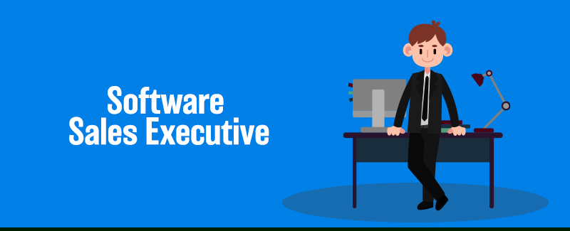 Software Sales Executive